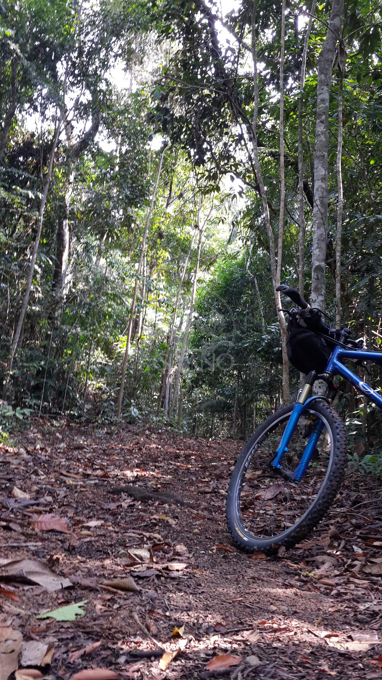 Cruza el bosque tropical en bici - Hotel & Restaurante Parador del Gitano - Nápoles - Doradal - Rio claro