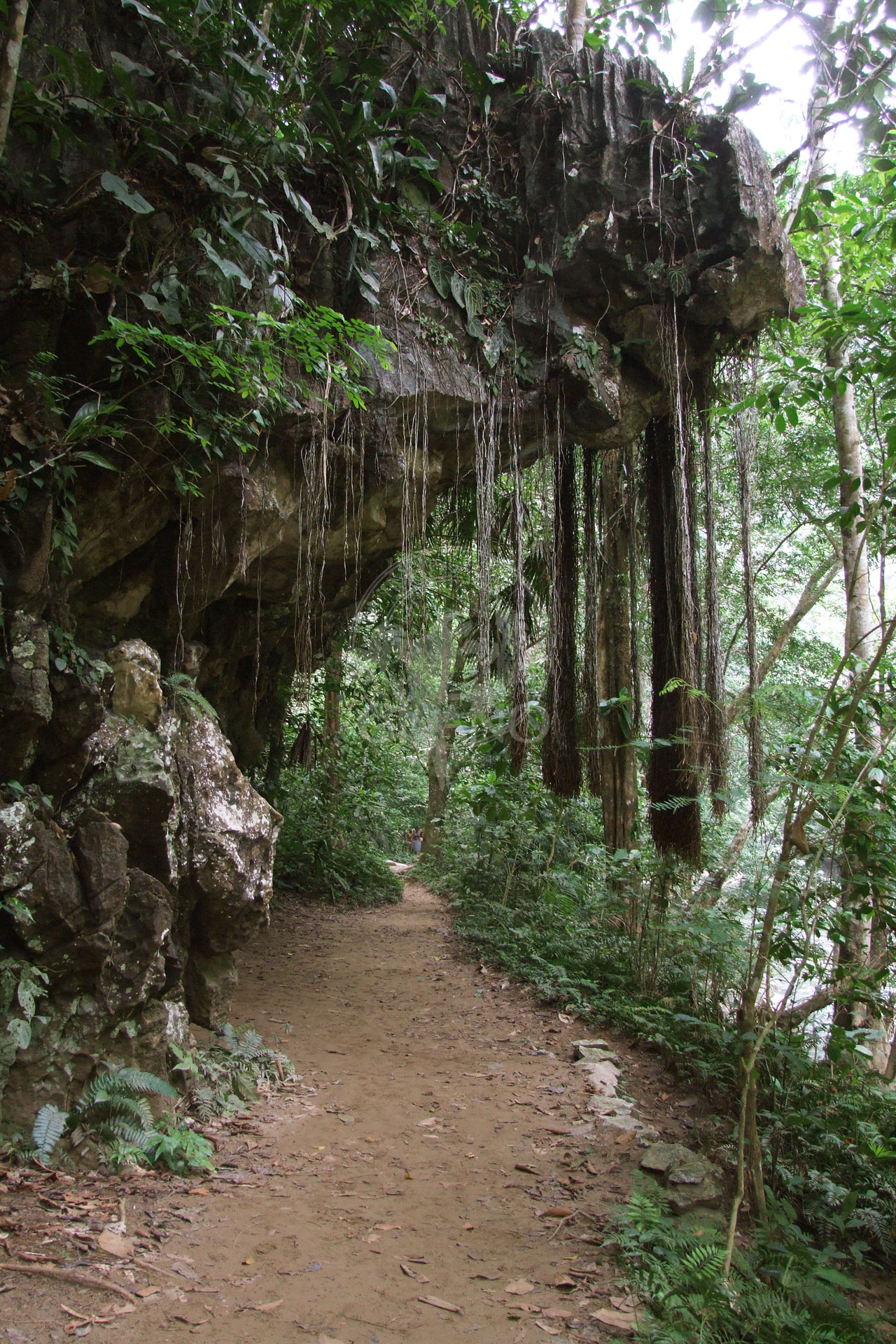 Caminatas inolvidables - Hotel & Restaurante Parador del gitano - Nápoles - Doradal - Rio claro