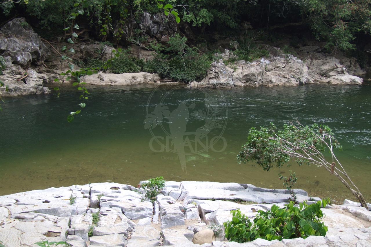 Rio claro - Hotel & Restaurante Parador del Gitano - Nápoles - Doradal - Rio claro